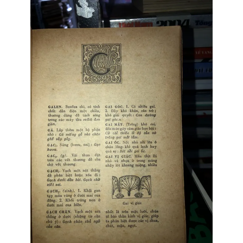 Từ điển học sinh   786811