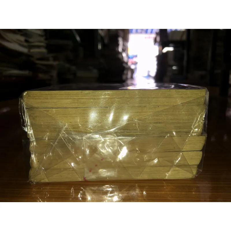 Kanon Hoa Âm - Saito Chiho 779616