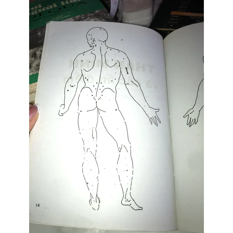 Bấm huyệt (Cách chữa & sự ích lợi) - FM. Houston, DC 1001145