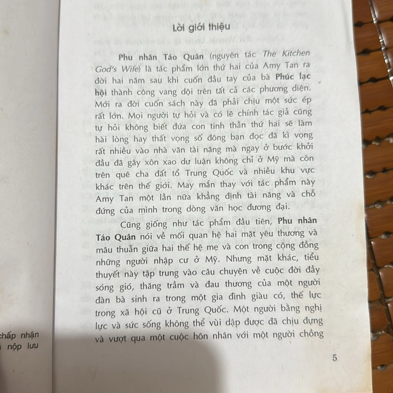 Phu nhân táo quân - AmyTan 534261