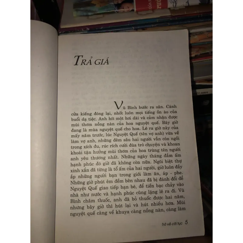 Trở về cõi tục - Trầm Nguyên Ý Anh 1011125