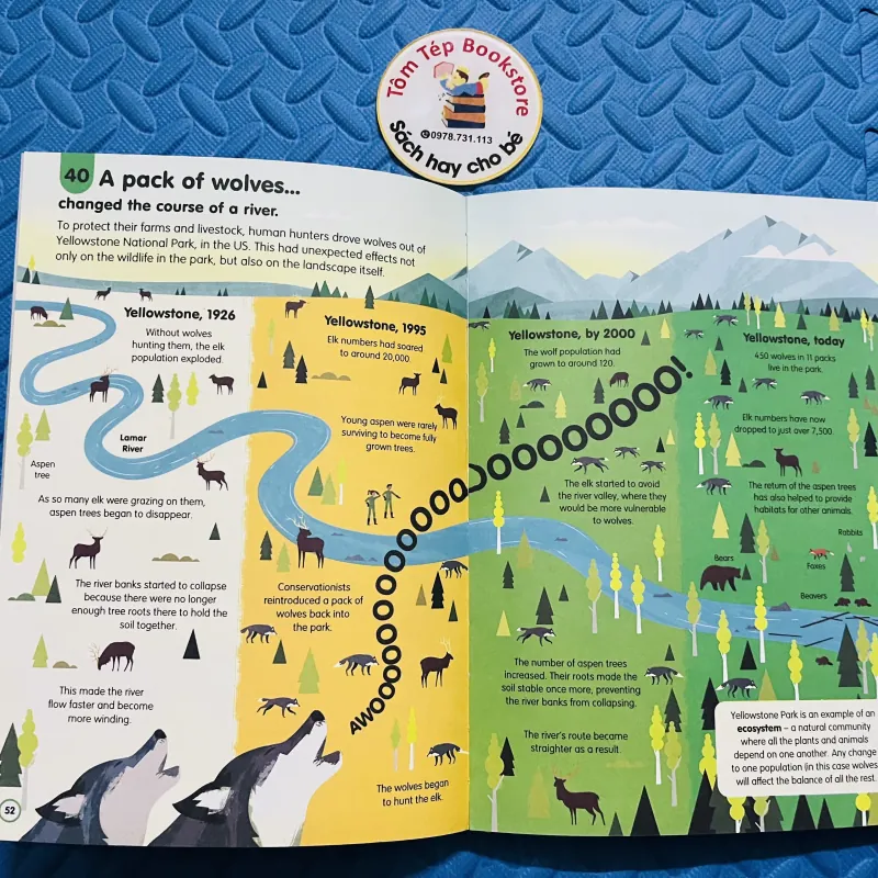 series Usborne “100 Things to Know About…” 785045