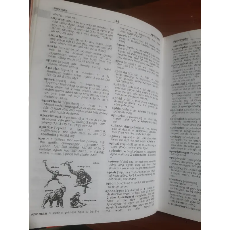 Từ điển Anh-Việt (Modern English dictionary) 748168