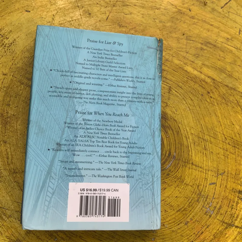 GOODBYE STRANGER - REBECCA STEAD 762299