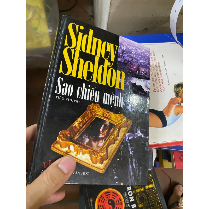 Sách sao chiếu mệnh 313834