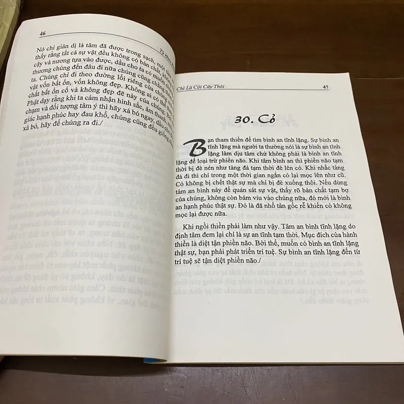 Chỉ là một cội cây thôi 606089