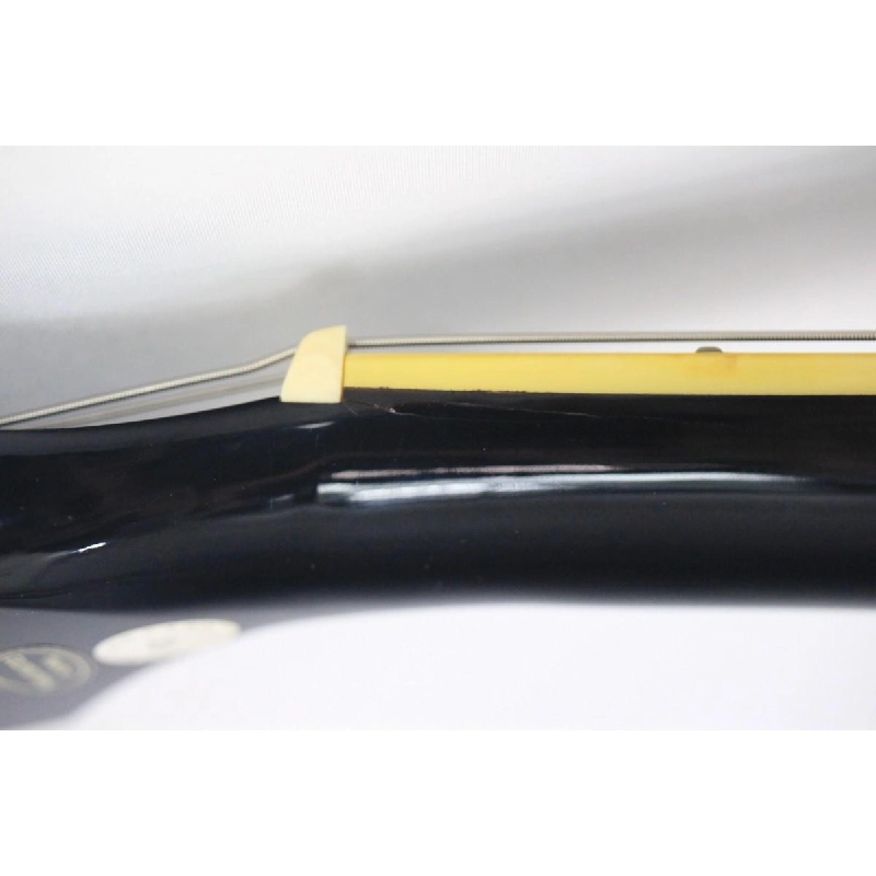 GUITAR ĐIỆN EPIPHONE LES PAUL STANDARD PLUSTOP - Hàng hiệu Authentic 876538