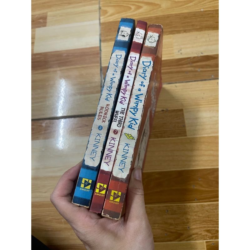 DIARY of a windy Kid 377881