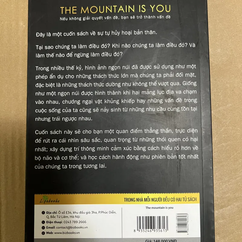 The Mountain is you 1025491