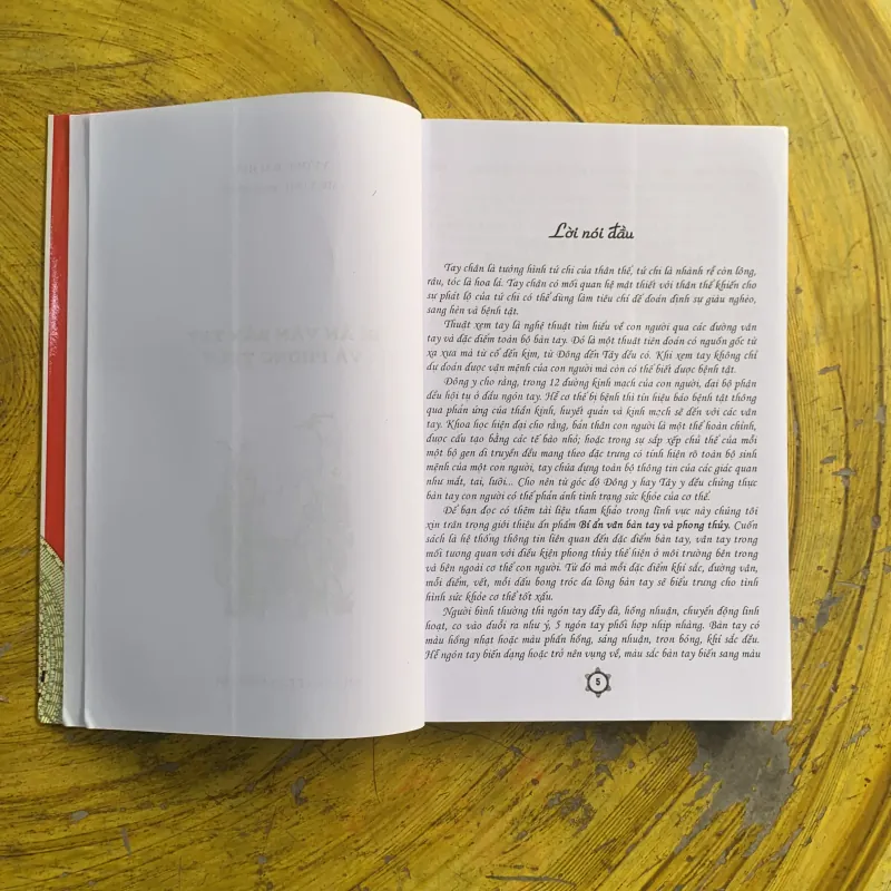 BÍ ẨN VÂN BÀN TAY VÀ PHONG THUỶ - vương đại hữu  1029983