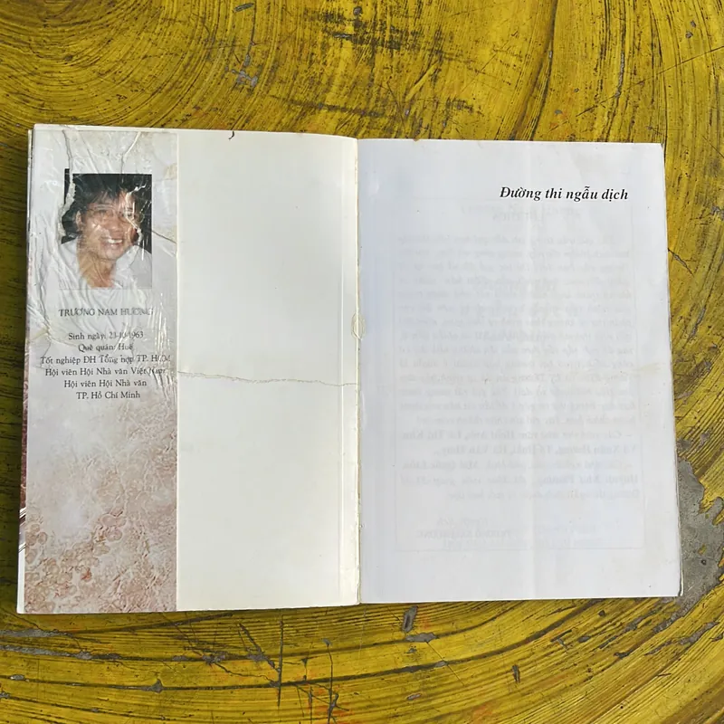 TRƯƠNG NAM HƯƠNG- ĐƯỜNG THI NGẪU DỊCH 101 BÀI 735731