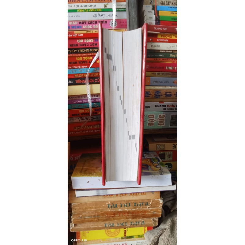 Từ Điển Bách Khoa Quân Sự Việt Nam 526139