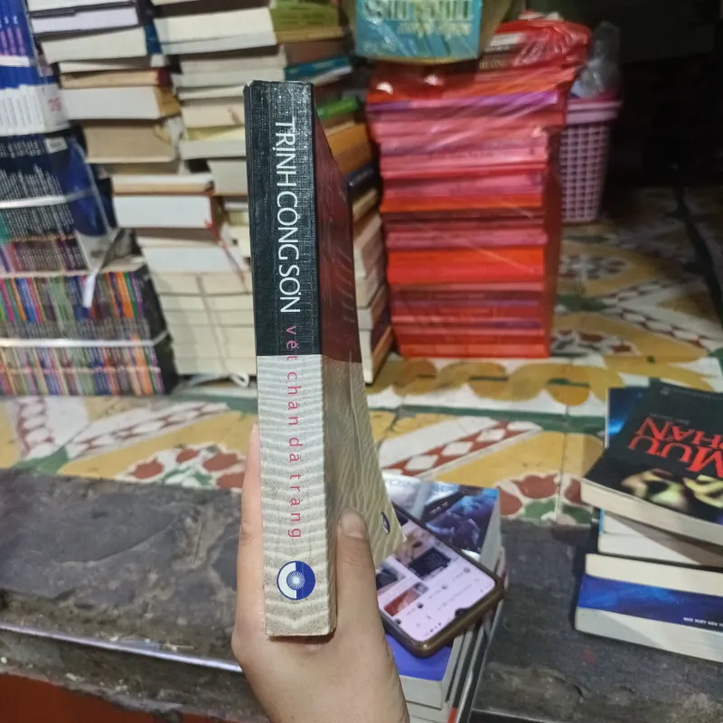 Trịnh Công Sơn Vết Chân Dã Tràng - Ban Mai  1020044