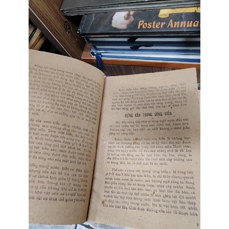 Chuyện lạ dưới biển - Nguyễn Khắc Hường 1026199