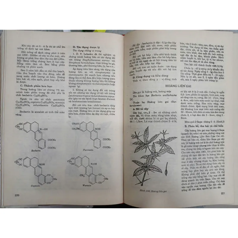 NHỮNG CÂY THUỐC VÀ VỊ THUỐC VIỆT NAM 682769