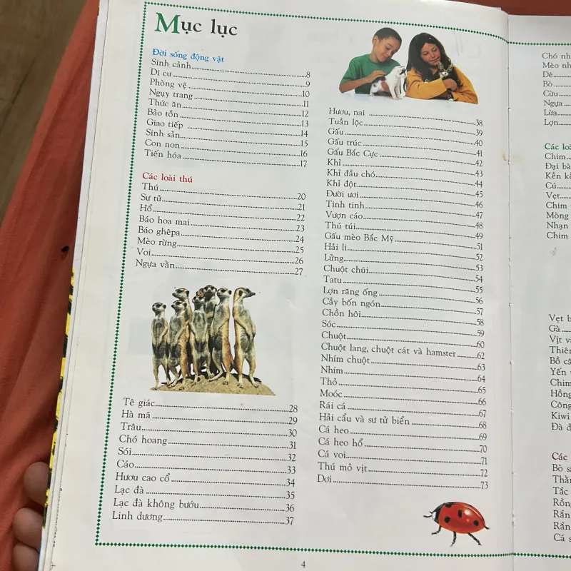 Bách khoa động vật cho trẻ em- khổ A3 to in màu 1029770