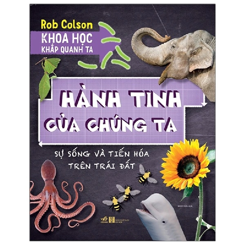 Khoa học khắp quanh ta - Hành tinh của chúng ta(9-14+) - Rob Colson 2021 New 100% HCM.PO Oreka-Blogmeo 29878