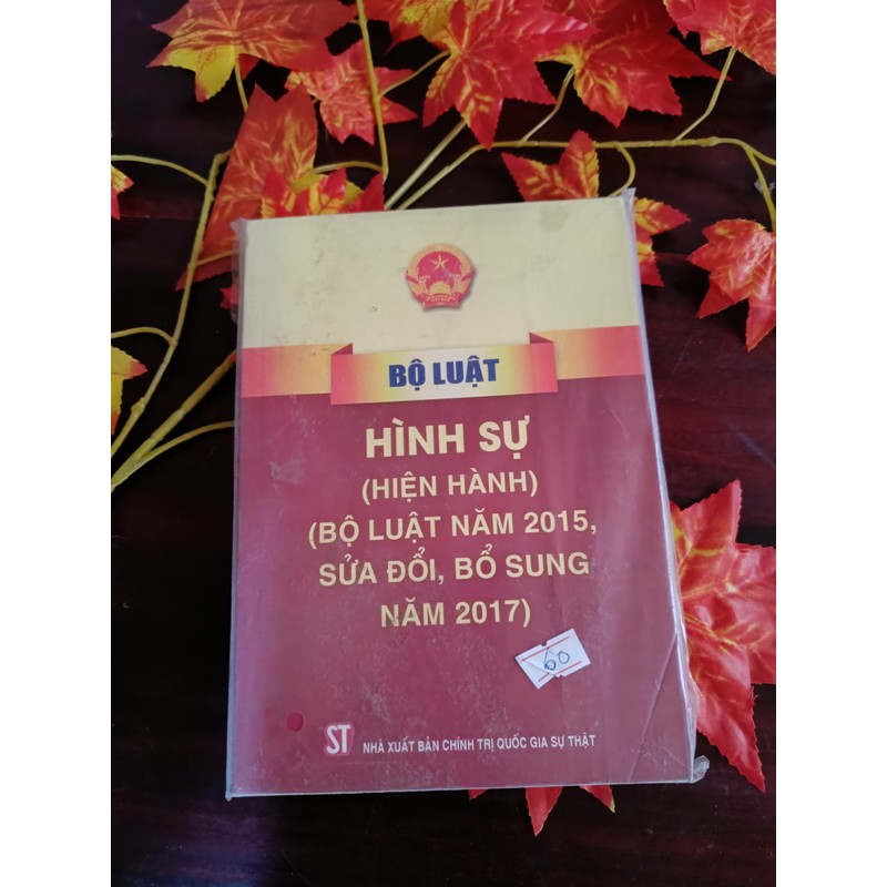 Bộ Luật Hình Sự Hiện Hành 2015 (sửa đổi 2017) 195147