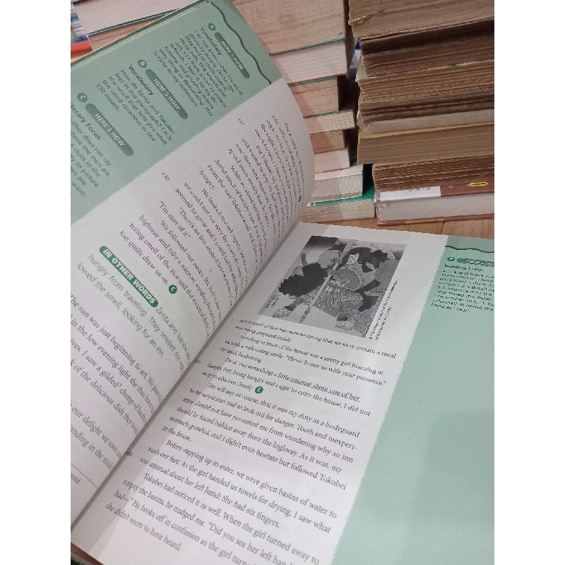 Elements of literature: The holt reader adapted version, second course 777064