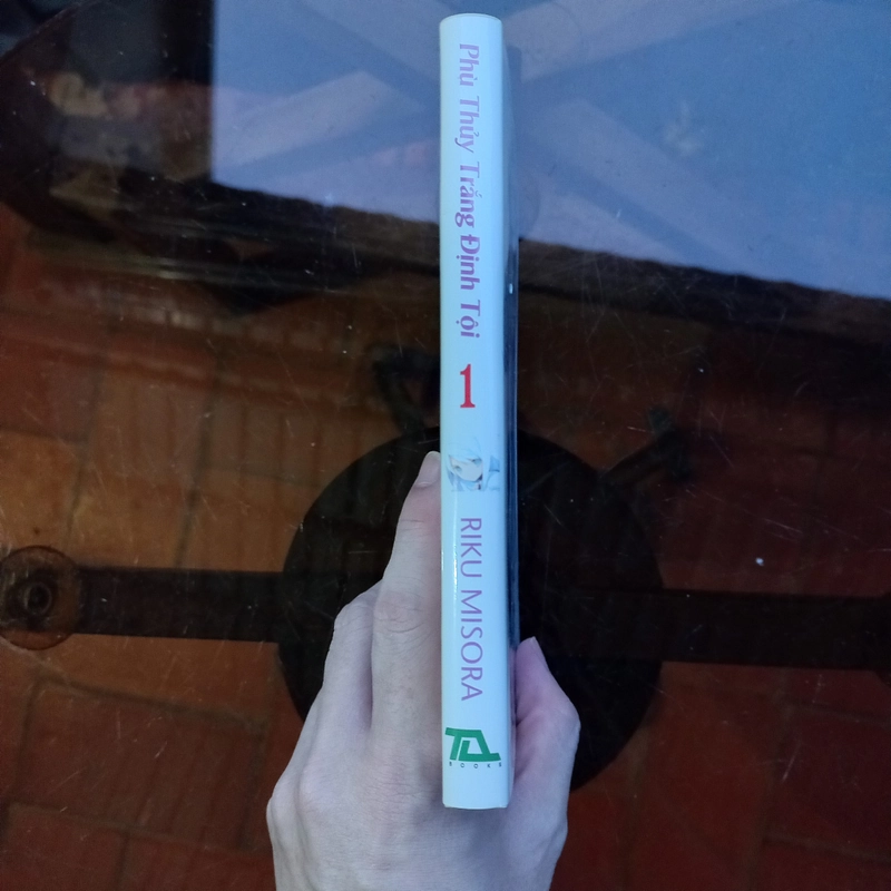 Light Novel Phù Thủy Trắng Định Tội 526909