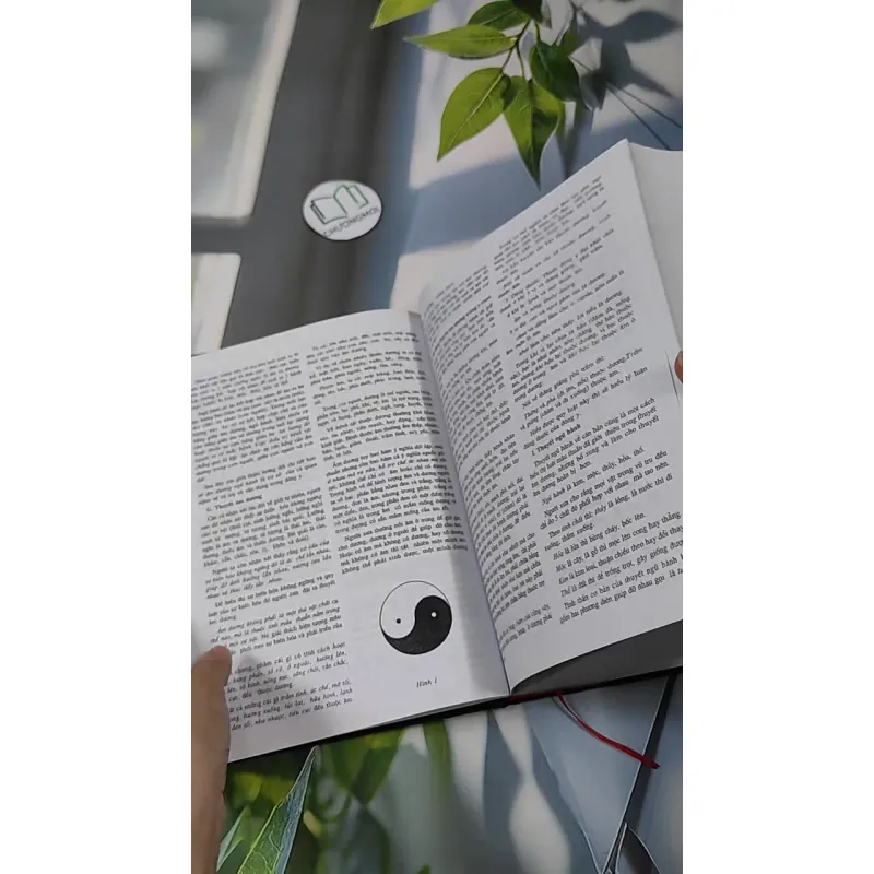 [MIỄN PHÍ BỌC SÁCH] Những Cây Thuốc Và Vị Thuốc Việt Nam - GS. TS Đỗ Tất Lợi 990368