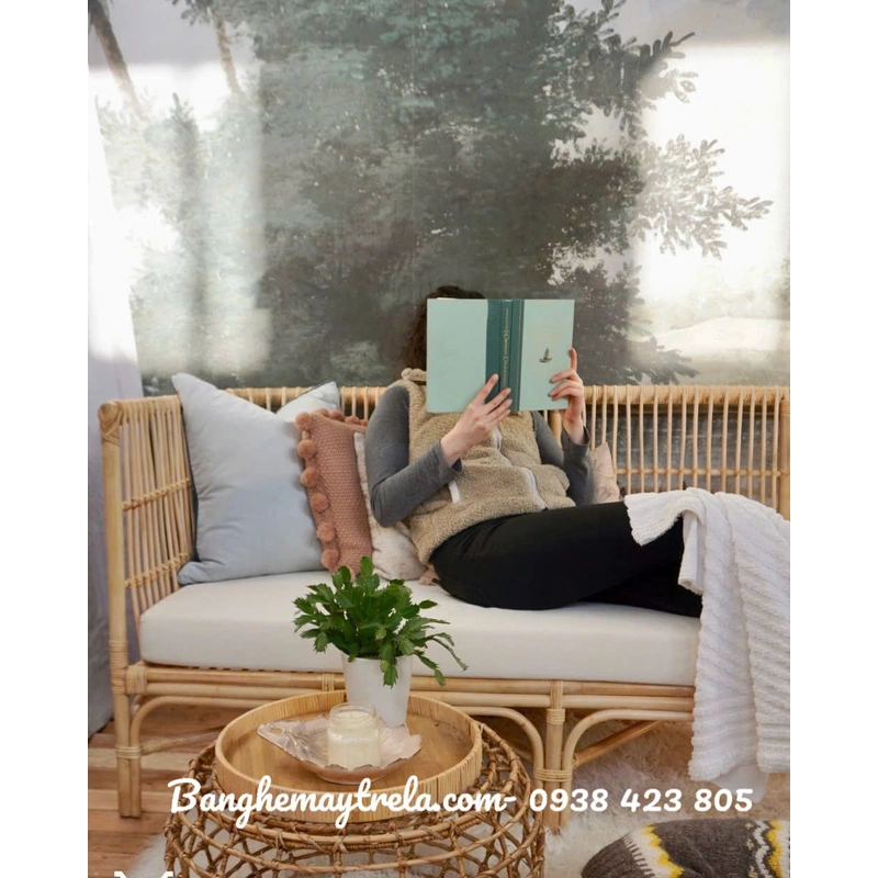 Ghế sofa mây phòng khách hiện đại đơn giản 444006