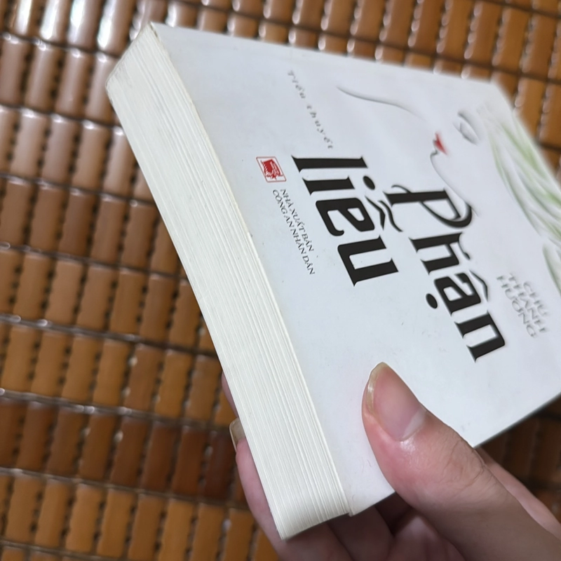 Phận liễu - Chu Thanh Hương 508537