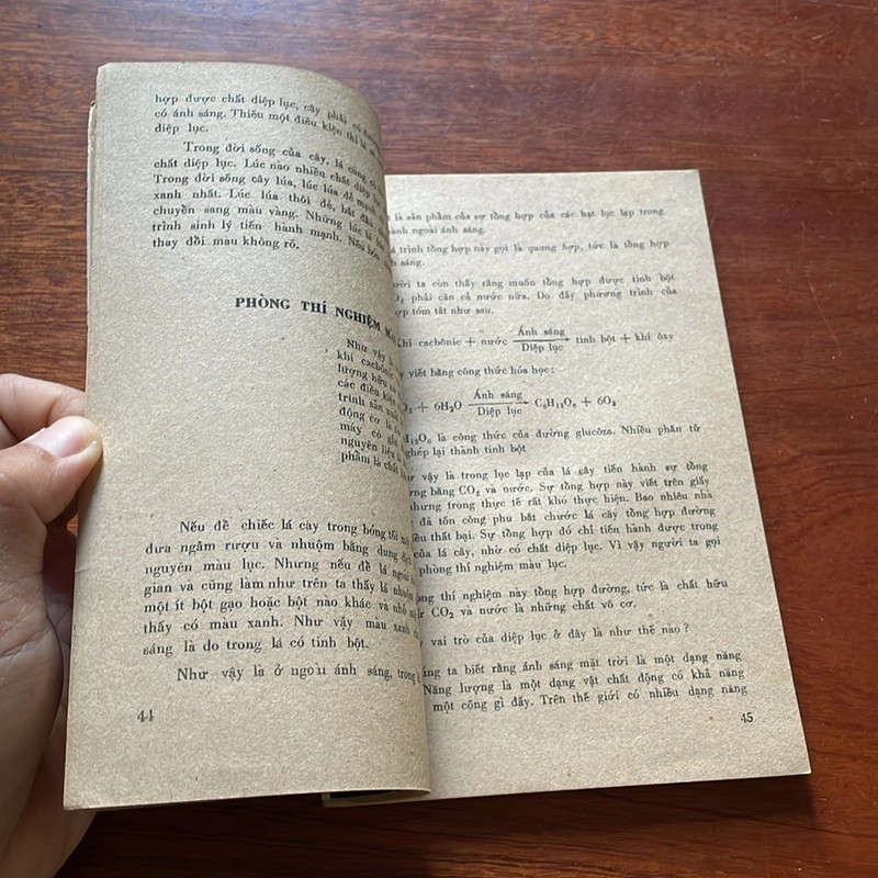  II Sách Xưa: Đời Sống Cây Trồng - Đào Thế Tuấn - 1978 504375