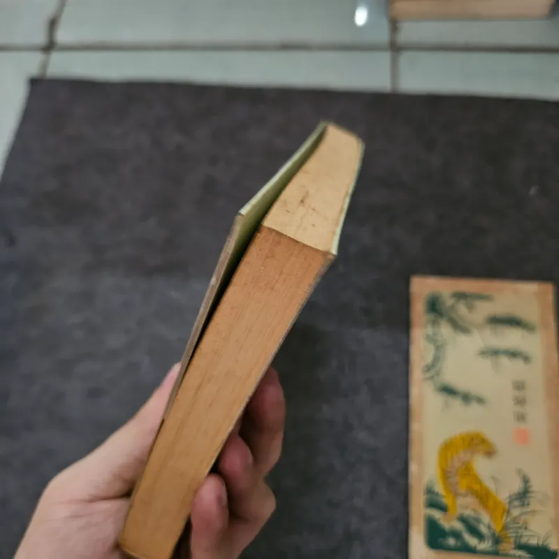 Hà nội thì không có tuyết 737260