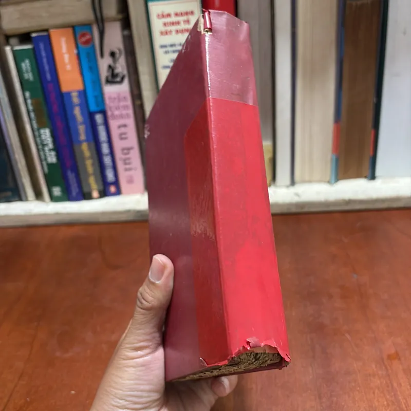 II Sách Phật Giáo: Lương Hoàng Sám (Cuốn 6•10) - PL. 2516•1972 800339