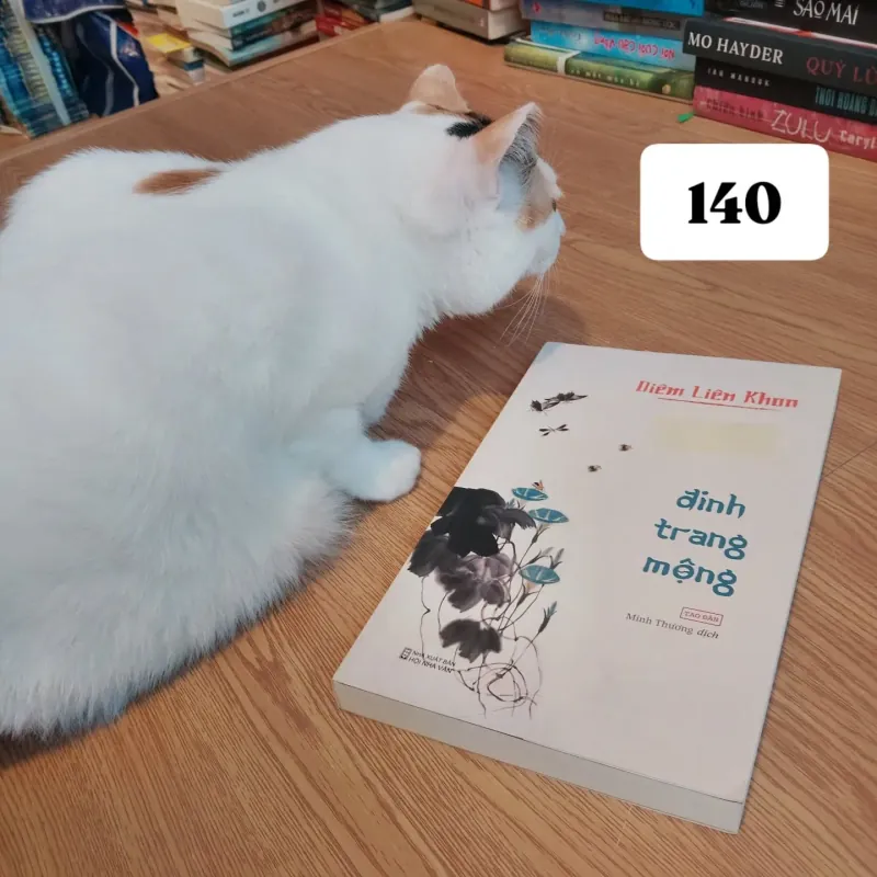 Đinh trang mộng - Diêm Liên Khoa 907870