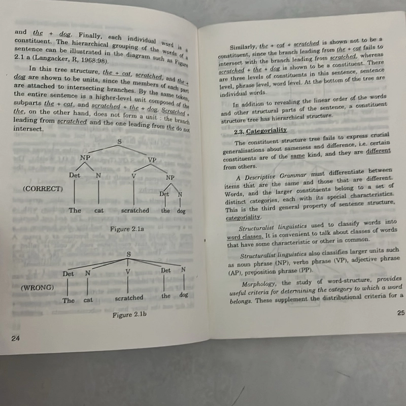 An outline of Syntax - Nguyen Hoa Lac - 2000s 506196
