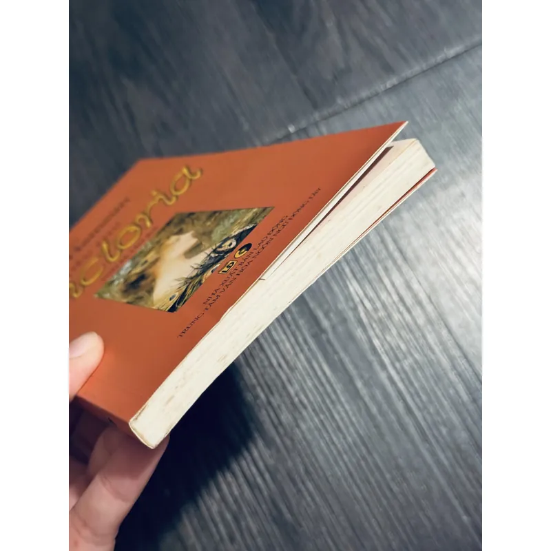 Tiểu thư Victoria - Knut Hamsun 689612