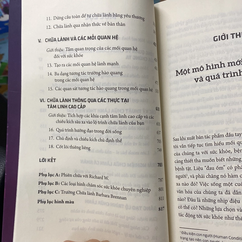 Hiện hình ánh sáng hành trình chữa lành cá nhân barbara ann brennan 519330