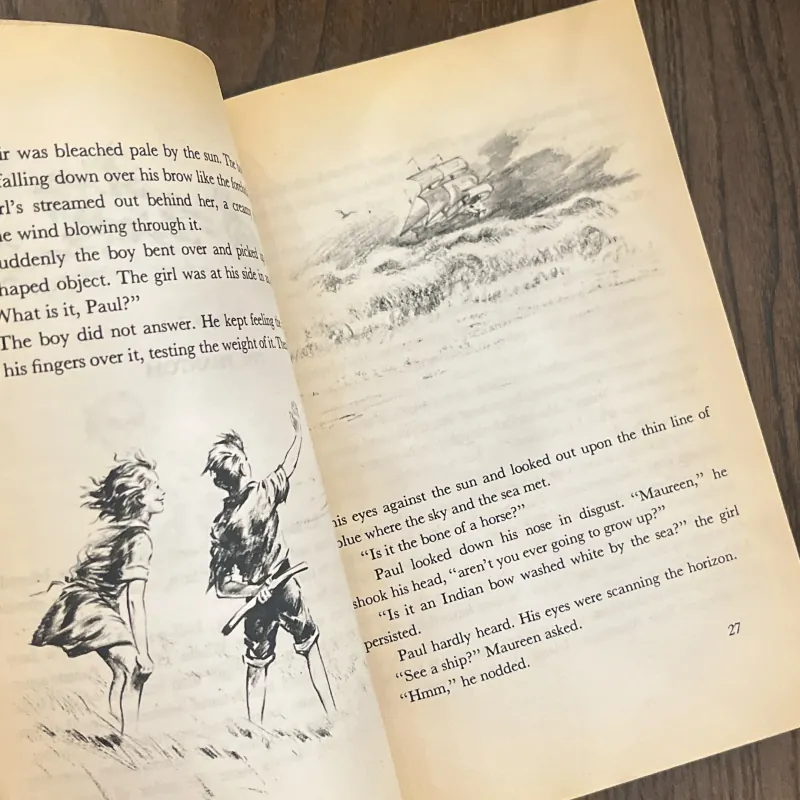 ✨𝑴𝒊𝒔𝒕𝒚 𝒐𝒇 𝑪𝒉𝒊𝒏𝒄𝒐𝒕𝒆𝒂𝒈𝒖𝒆✨ (Newbery Honor Book) 709264