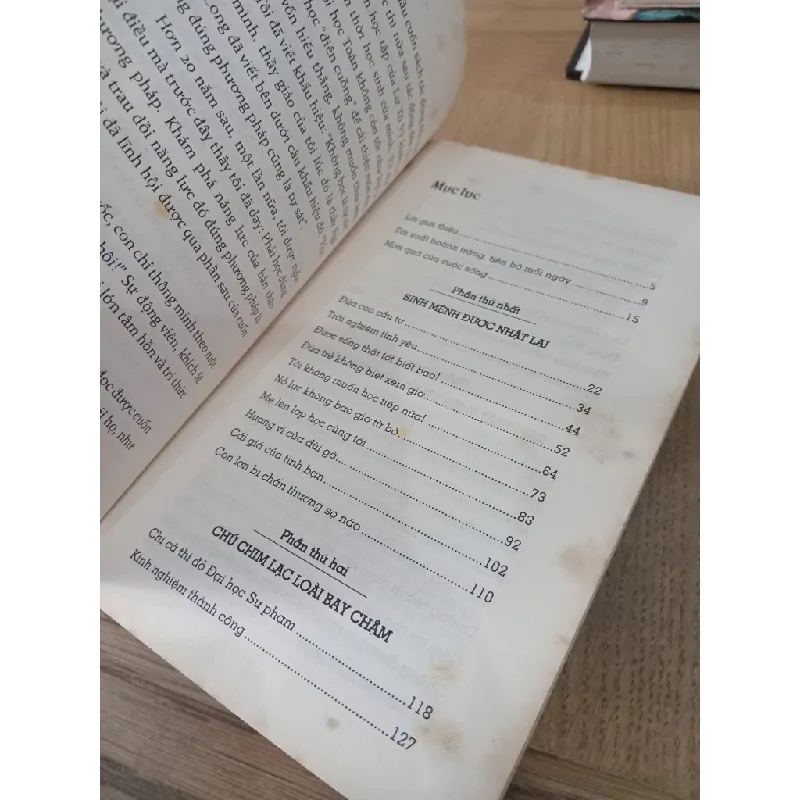 Con không ngốc, con chỉ thông minh theo một cách khác - Lư Tô Vỹ 603883