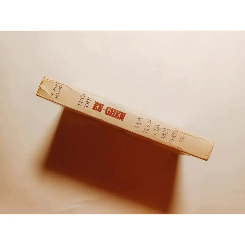 Tuổi Trẻ Enghen - Mùa Xuân Của Một Thiên Tài

 737975