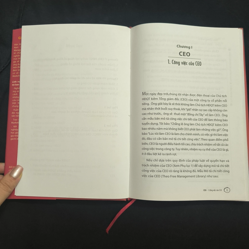 [Sách] CEO & Hội Đồng Quản Trị (Bìa cứng, có áo bìa) - Phạm Trí Hùng & Nguyễn Trung Thắng 546994