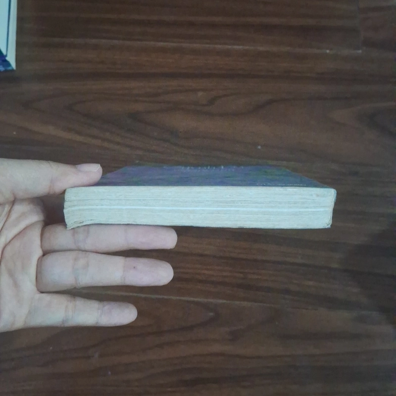 Đường tình đôi ngả 508009