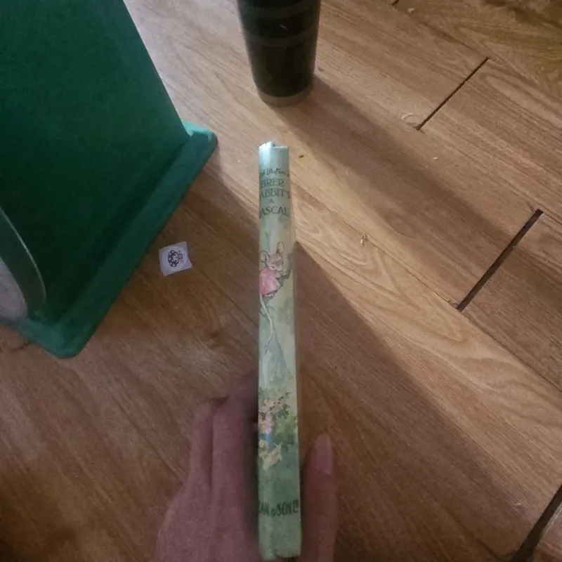 Brer rabbit's a rascal (bìa cứng) Giá 30k  603953