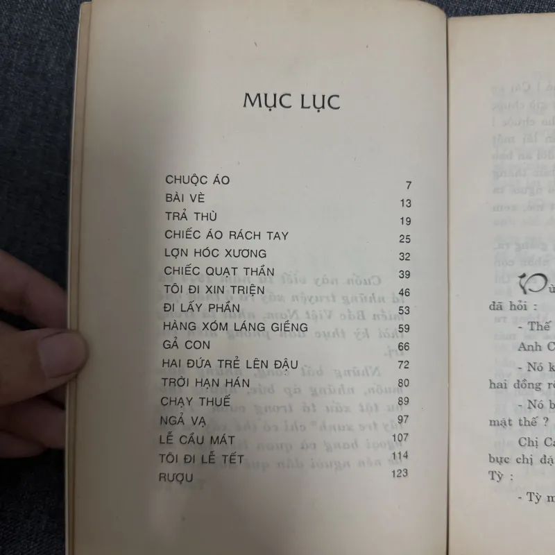 Truyện ngắn làng quê (Trong lũy tre xanh) - Toan Ánh 925884