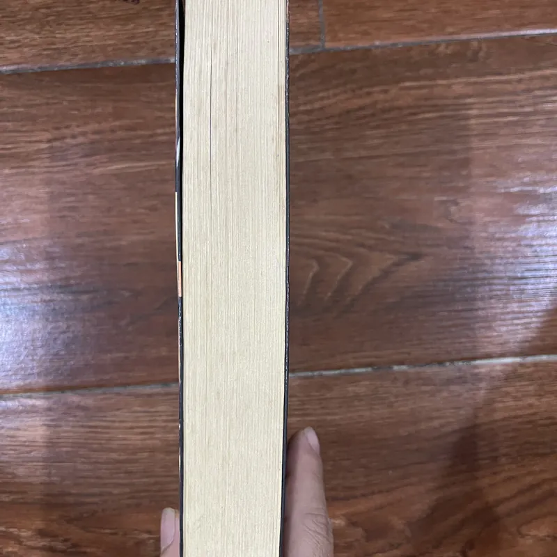 Kẻ Nhắc Tuồng - Donato Carrisi (k4) 697294