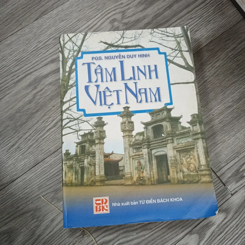 Tâm Linh Việt Nam - PGS. Nguyễn Duy Hinh 782337