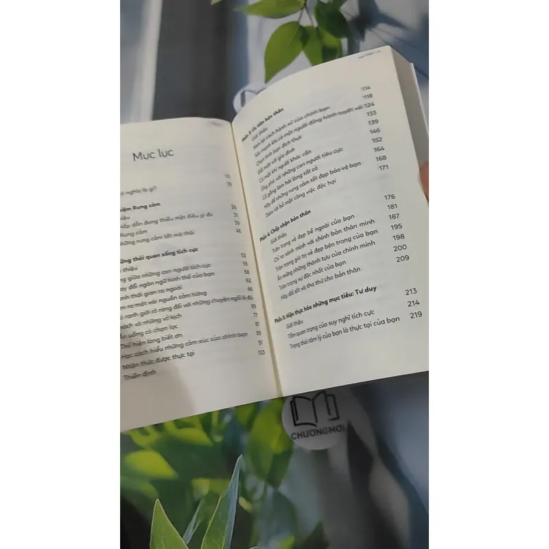 Yêu Mình Trước Đã, Yêu Đời Để Sau - Vex King 961185