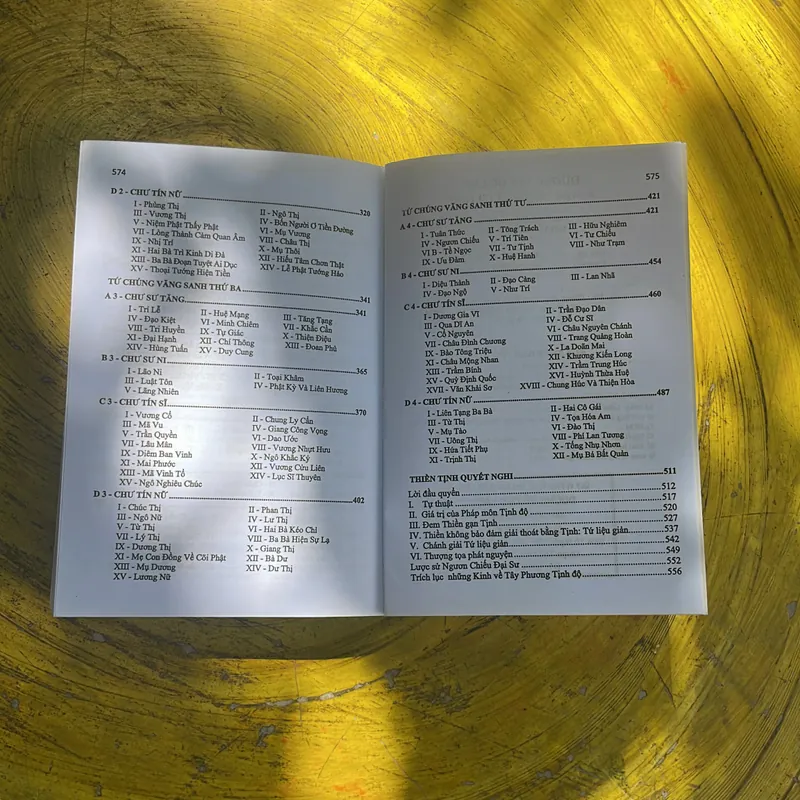 ĐƯỜNG VỀ CỰC LẠC- HT. THÍCH THƯỢNG TRÍ HẠ TỊNH 695239