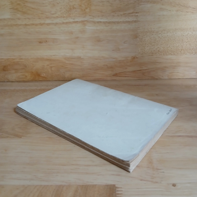 Đời Mưa Gió (Xb 1991) - Khái Hưng, Nhất Linh 475729