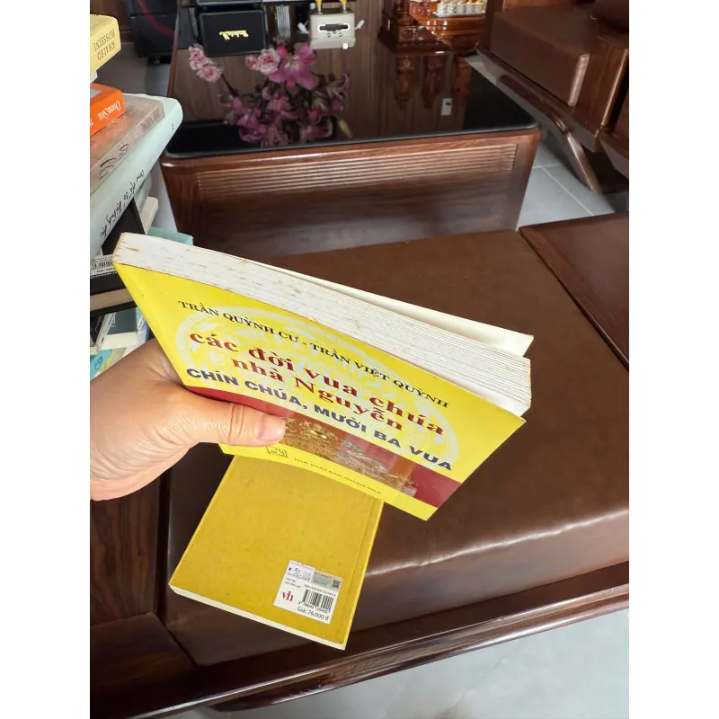 Các đời vua chúa nhà Nguyễn – Chín chúa, mười ba vua 973346