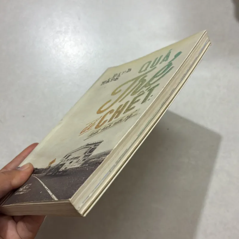 Quá trẻ để chết - Đinh Hằng (t01) 750933