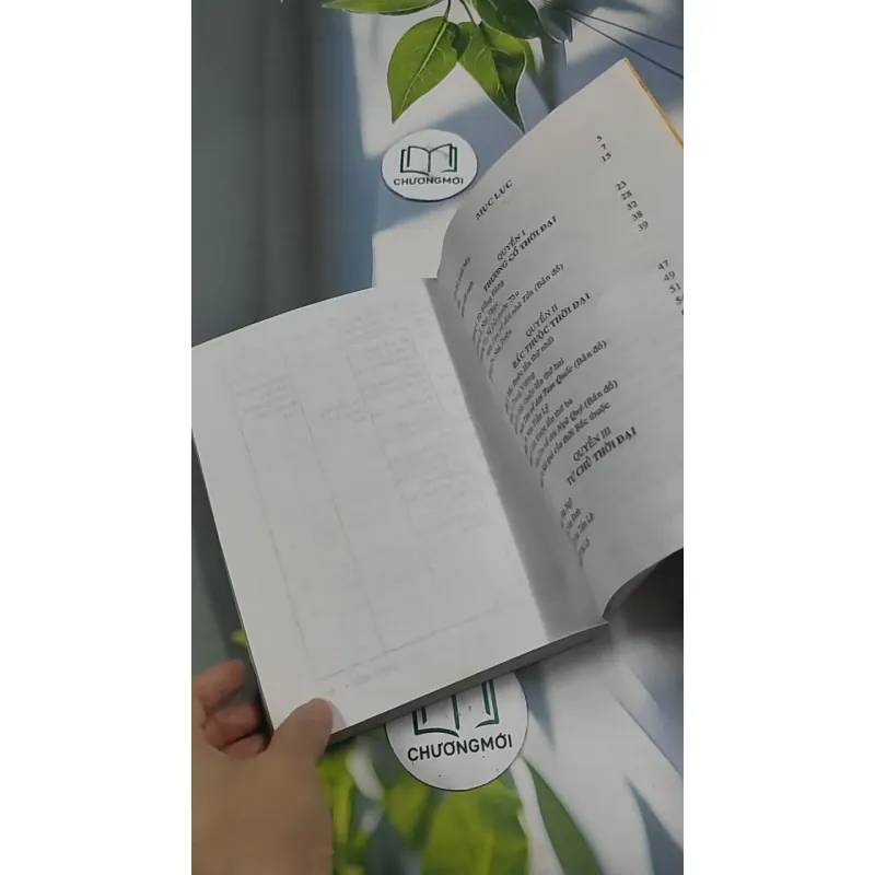 Việt Nam Sử Lược 715609