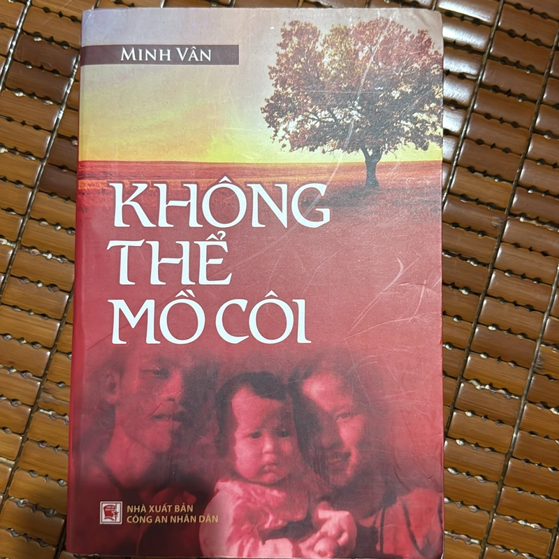 Không thể mồ côi - Minh Vân 504991